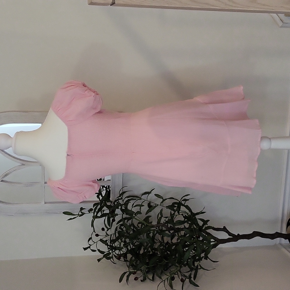 Pink Dress - Picture 3 of 3